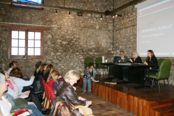 180406 diagnosticsalut presentacio carmencabeza