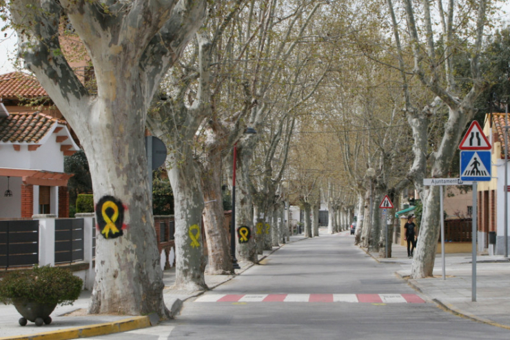 Arbres del passeig de la Carrerada amb pintades.