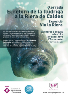 Cartell "El retorn de la llúdriga"