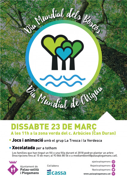 Cartell dia mundial boscos i aigua