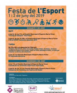 Festa de l'esport