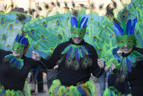191 carnestoltes2017psplegamans copy