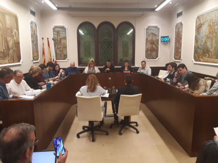 Ple del 30 de gener del 2020
