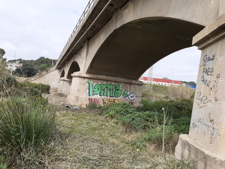 Pont de la c-155.