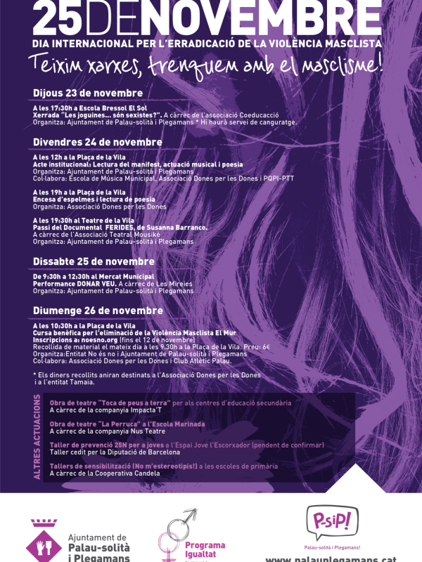 Cartell 25N 2017