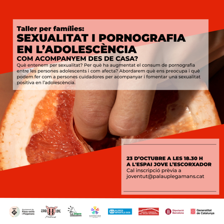 6. Sexualitat i pornografia (2) 2 (1).jpg