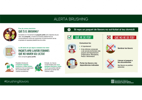 Alerta brushing