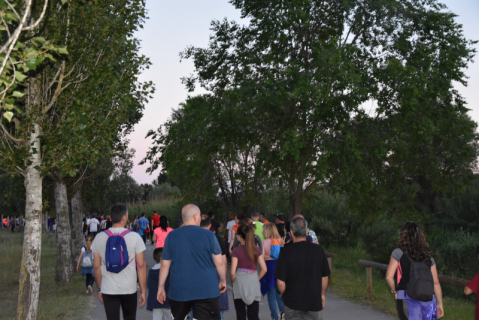 Caminada nocturna