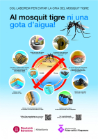 Campanya mosquit tigre