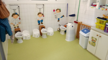 Vista definitiva de l'aula dels elefants