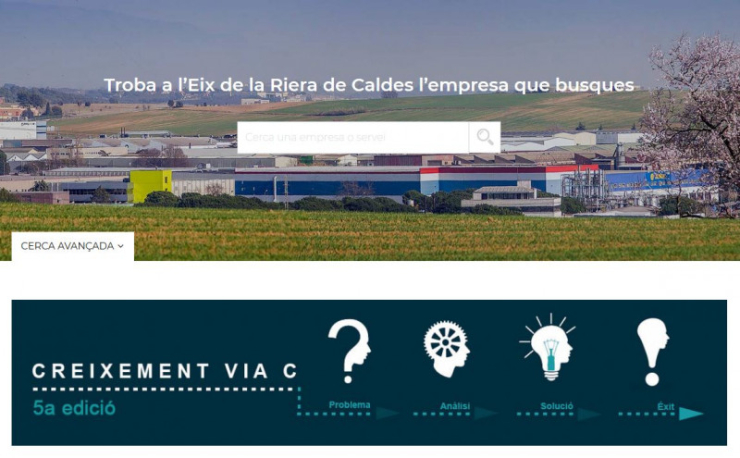 Captura de pentalla del portal web per a empreses de l'AMERC