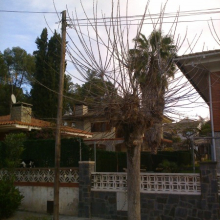 Inici de les obres al Carrer la Merla