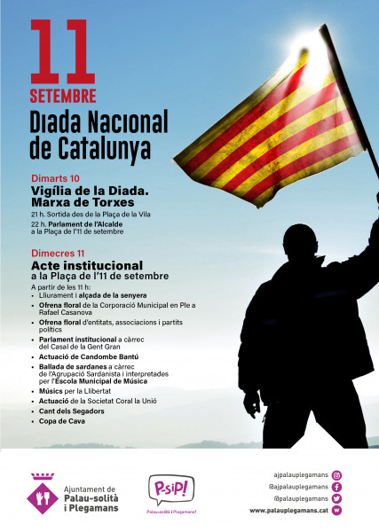 Cartell Diada 2019
