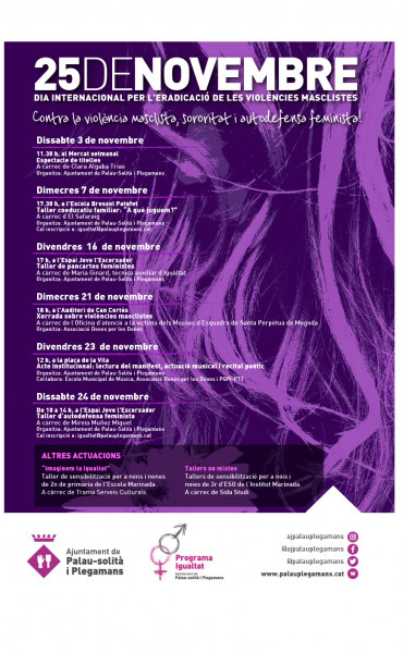 Cartell 25 de Novembre