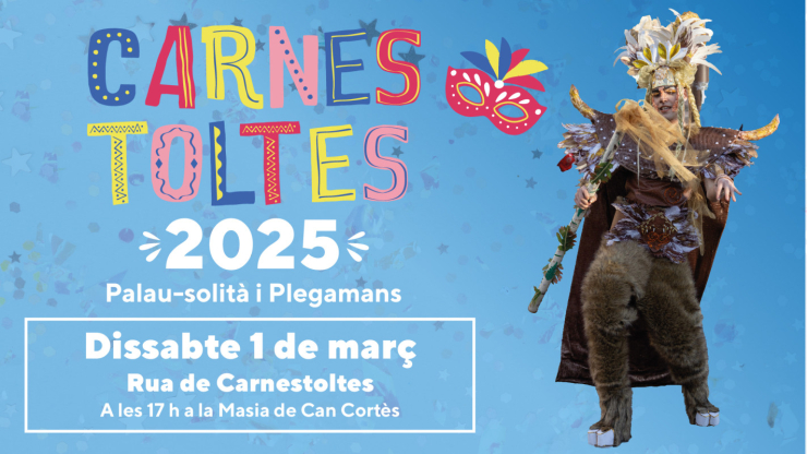 Cartell Carnestoltes 2025