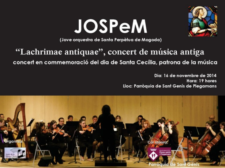 Cartell del concert