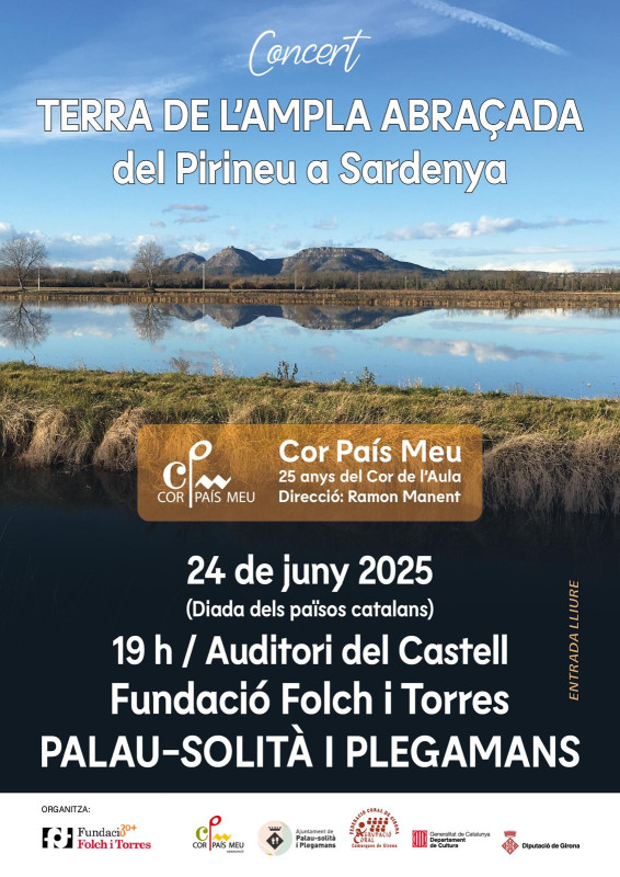 Cartell concert Diada dels Països Catalans