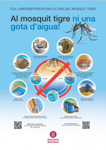Cartell DIBA web.jpg