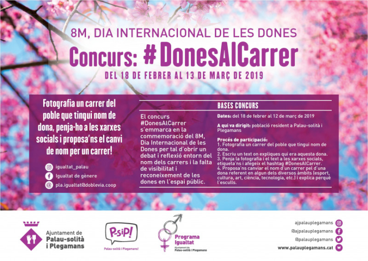 Cartell Dones al carrer