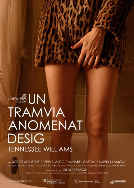 Cartell d'Un tramvia anomenat desig
