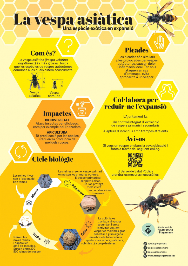 cartell vespa_6 imatge-min.jpg