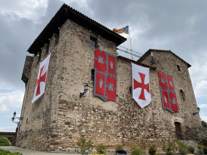 Escut de la família Plegamans al Castell.