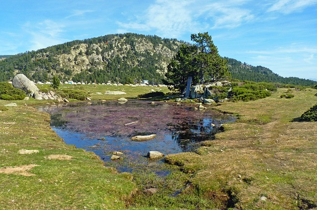 Cerdanya