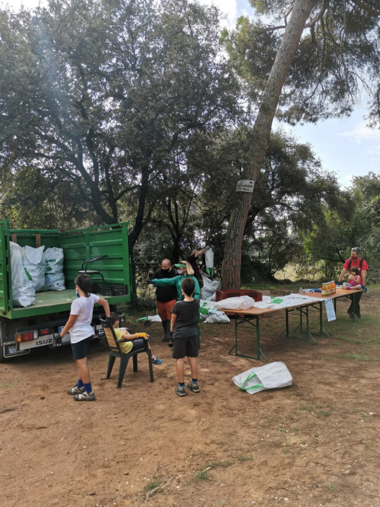 Clean up day