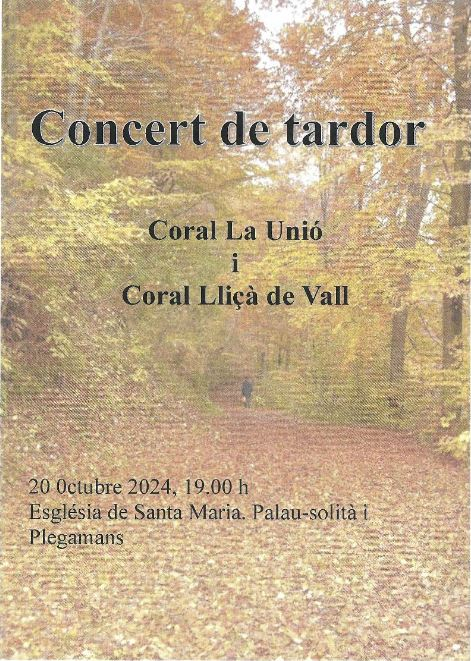 Cartell concert de tardor 2024