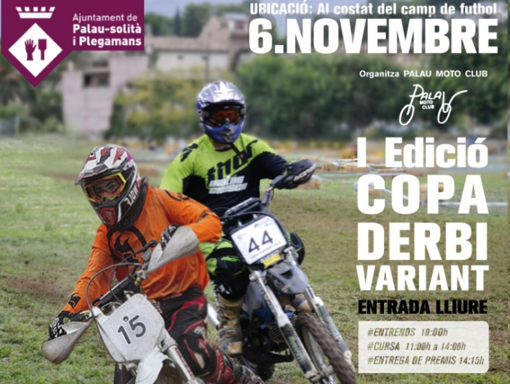Copa Derbi Variant