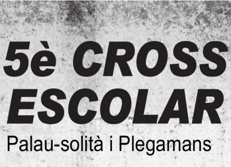 Cros escolar capcalera