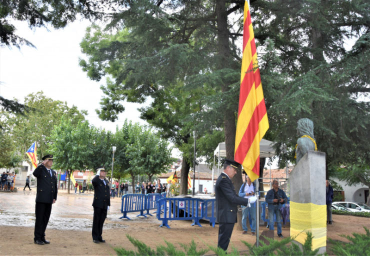 Diada Alçada de la Senyera
