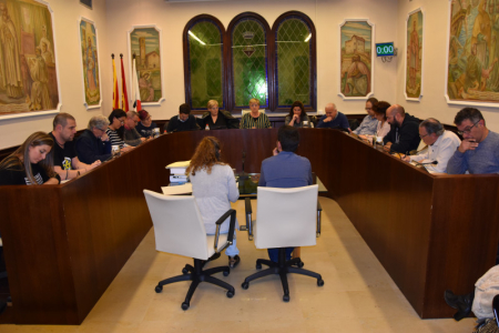 Ple municipal febrer 2019