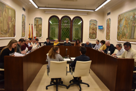 Ple municipal 31 de gener de 2019
