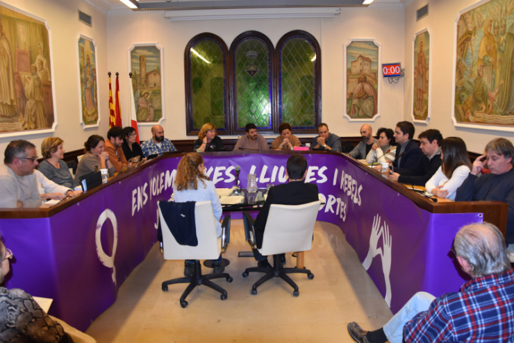 Sessió plenaria del 28 de novembre