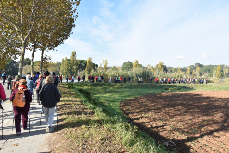 Caminades 'A 100 cap als cent'.