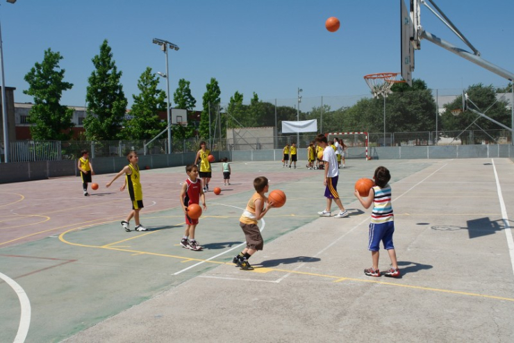 Basquet