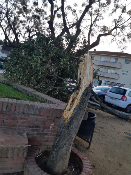 Efectes del vent a la vila