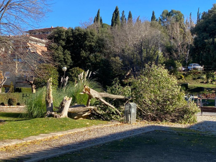 Efectes del vent a la vila
