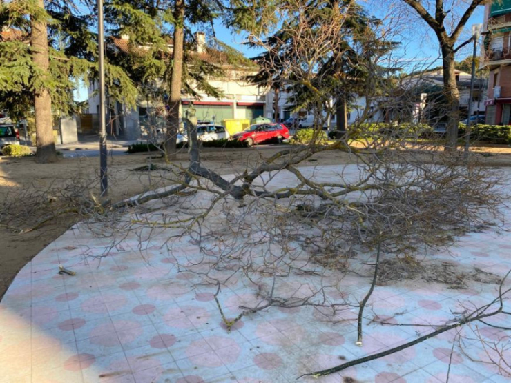 Efectes del vent a la vila