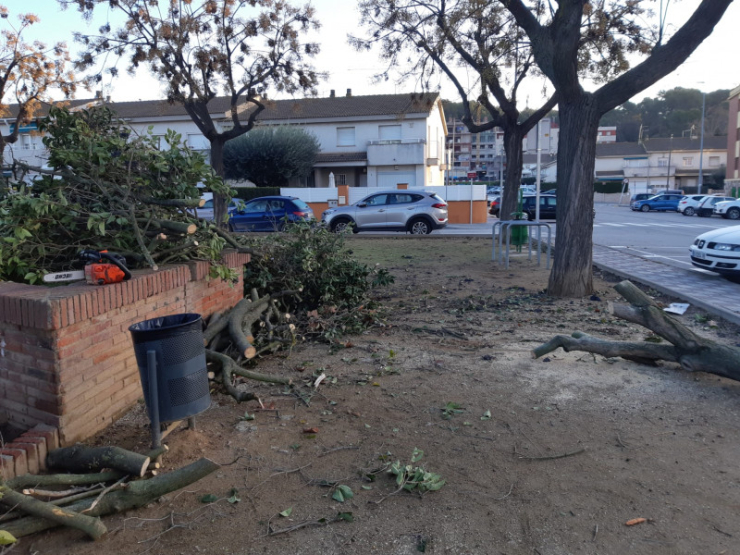 Efectes del vent a la vila