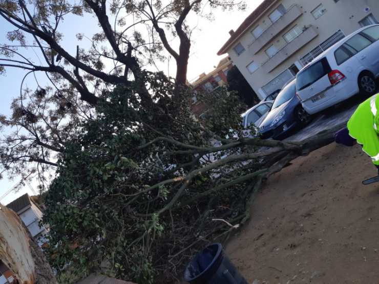 Efectes del vent a la vila