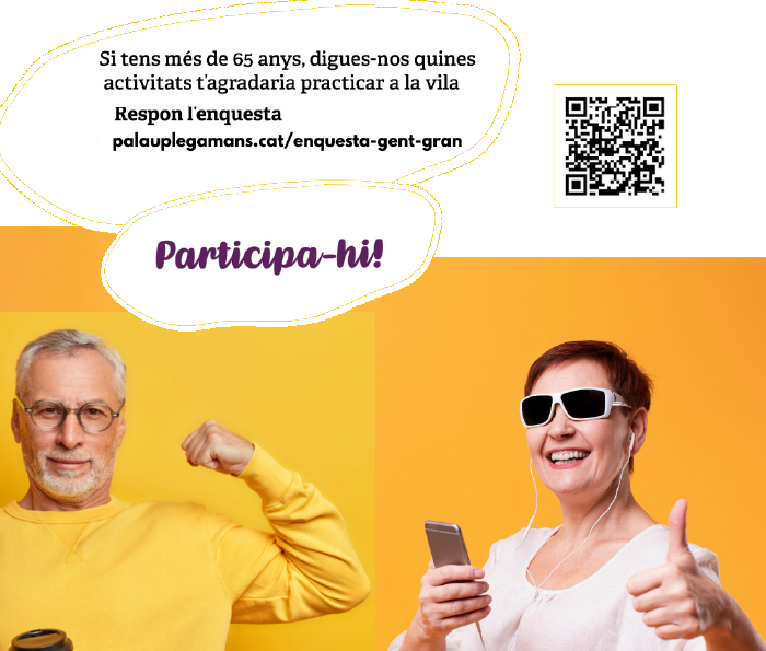 Enquesta Gent Gran.png