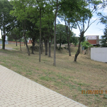 Entorn Masia de Can Falguera