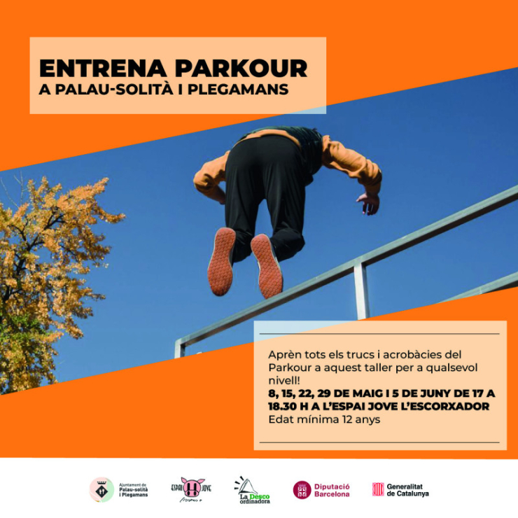 taller parkour.jpg