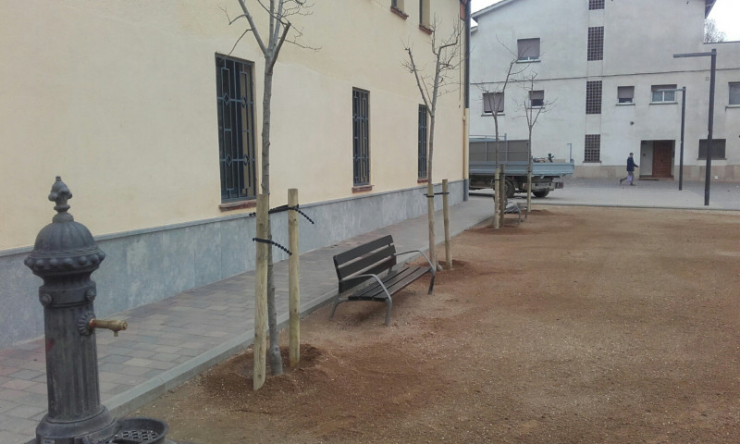 Nous arbres a la plaça Onze de Setembre