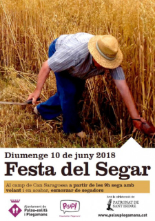 Cartell Festa del Segar 2018