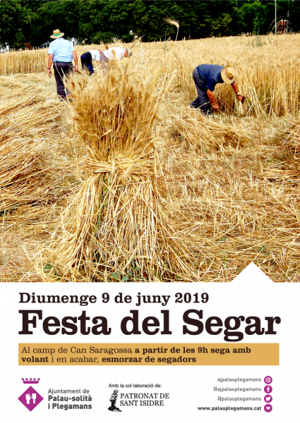 Festa del segar