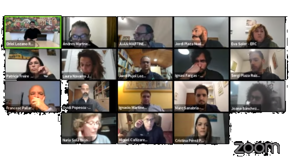 Ple Municipal telemàtic