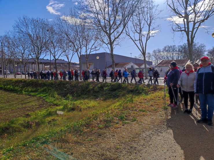 Passejades per a la gent gran